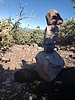 photo thumbnail #12