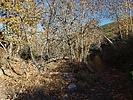 photo thumbnail #15