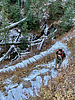 photo thumbnail #9