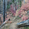 photo thumbnail #5