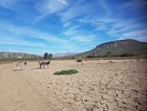 photo thumbnail #9