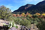 photo thumbnail #5