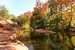 photo thumbnail #4