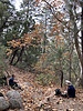 photo thumbnail #4