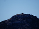 photo thumbnail #15