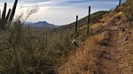 photo thumbnail #3