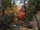photo thumbnail #15