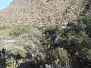 photo thumbnail #12