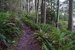 photo thumbnail #14