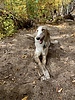 photo thumbnail #2