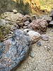 photo thumbnail #12