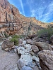 photo thumbnail #13