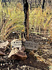 photo thumbnail #6