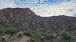 photo thumbnail #10