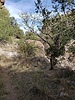 photo thumbnail #15