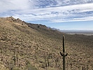 photo thumbnail #3