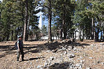 photo thumbnail #7