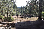 photo thumbnail #11