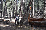 photo thumbnail #13
