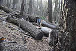 photo thumbnail #14