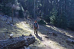 photo thumbnail #15