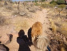 photo thumbnail #5