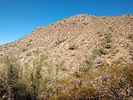 photo thumbnail #4