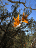 photo thumbnail #6