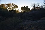 photo thumbnail #3