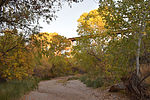 photo thumbnail #6