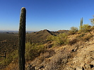 photo thumbnail #9