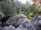 photo thumbnail #6
