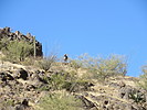 photo thumbnail #13