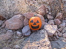 photo thumbnail #1