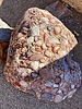 photo thumbnail #12