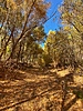 photo thumbnail #2