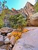 photo thumbnail #9