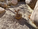 photo thumbnail #11