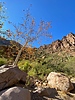 photo thumbnail #15