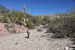 photo thumbnail #2
