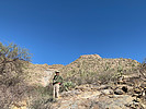 photo thumbnail #5