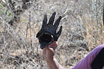 photo thumbnail #9