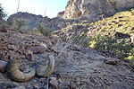 photo thumbnail #10