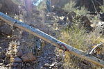 photo thumbnail #15