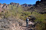photo thumbnail #1