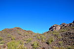 photo thumbnail #4