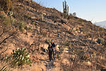 photo thumbnail #9
