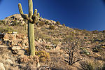 photo thumbnail #10