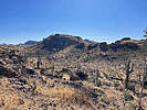 photo thumbnail #8