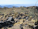 photo thumbnail #7